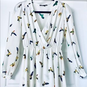 Honey punch long sleeved ivory dress